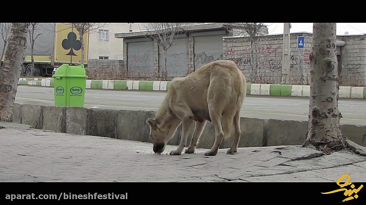 فیلم کوتاه &laquo;گنجشک‌های کو...