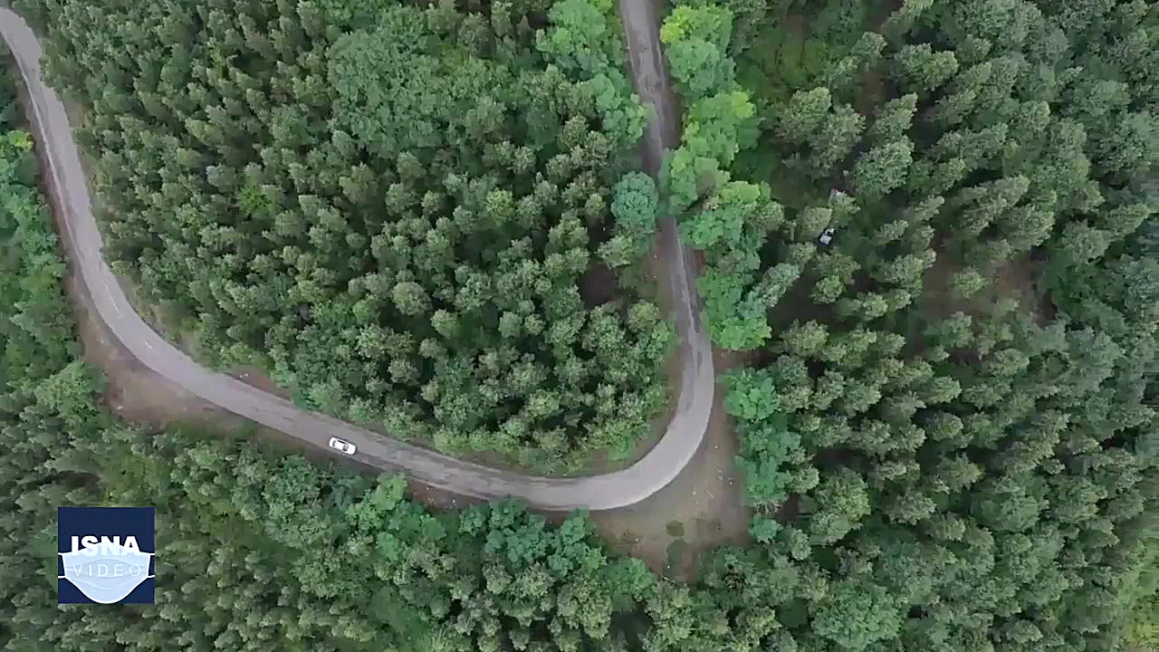 اسناد تازه از تقسیم ارث و اجار...