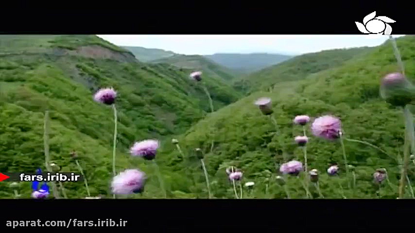 ترانه زیبای &quot; ساغر &quot;...