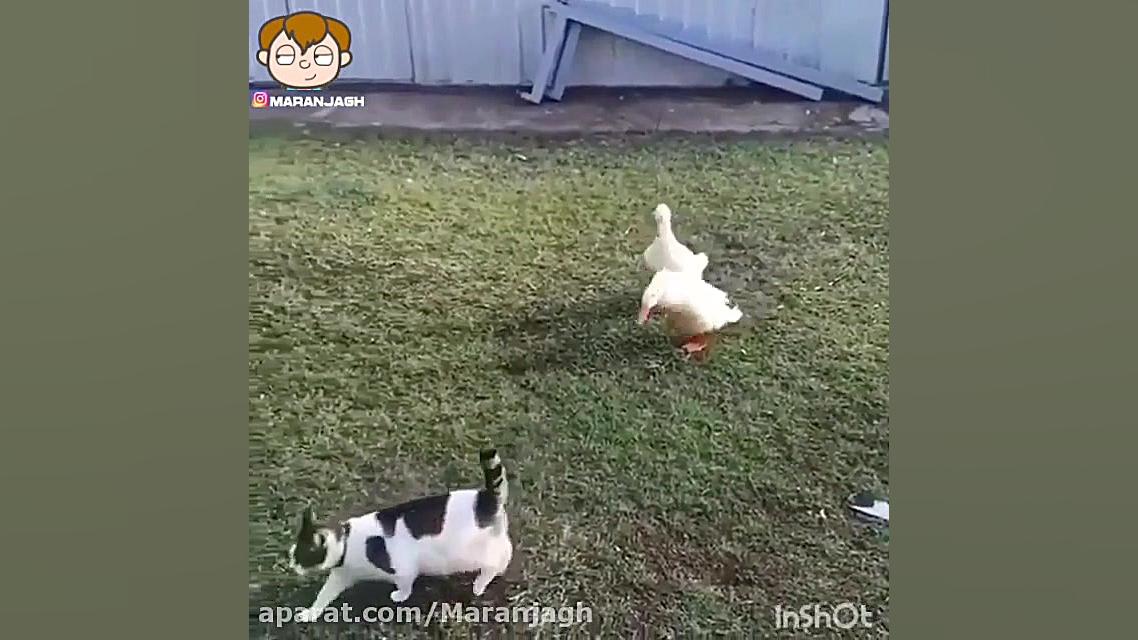 مزاحمت.دوبله maranjagh