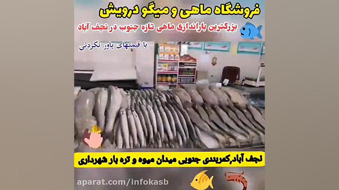 ماهی ومیگو درویش