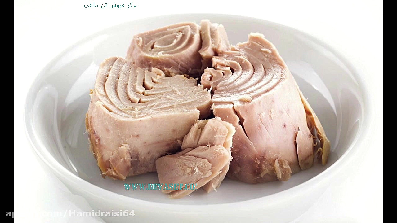 مرکز خرید تن ماهی ایران