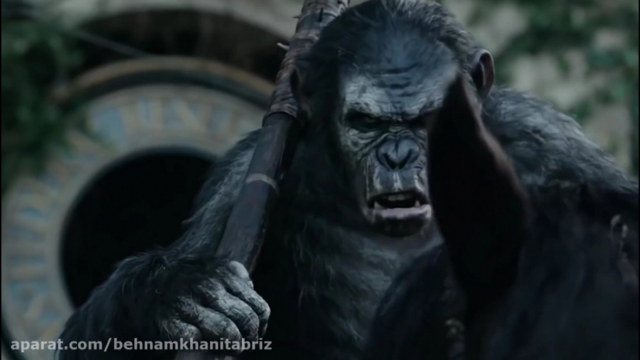 چند مورد ازباور نکردنی های میم...