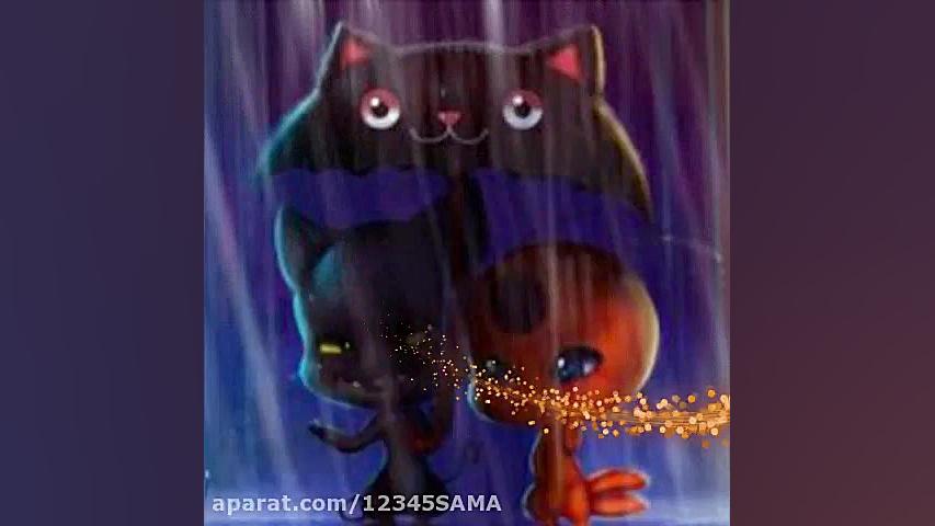 عکس کوامی انیمیشن لیدی باگ