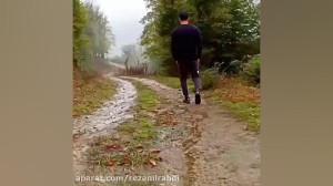موسیقی  طبیعت بکر