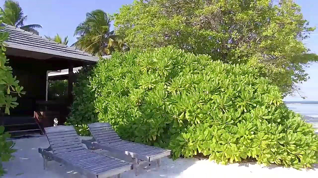 مستند سواحل دریا دیدنی و جالب...