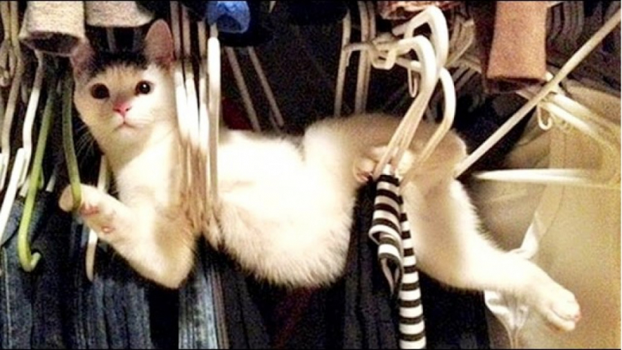 بامزه و خنده دار لحظات فان با...