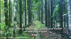 تلاوت زیبا با ترجمه فارسی آیات...