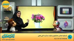 نمونه ویدیو آموزشی اجی مجی درس...