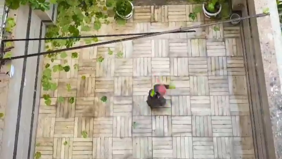 پست جدید پریسا ۱۶ ۹ ۹۹