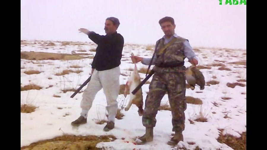 کلیپ شکارهای ارومیه