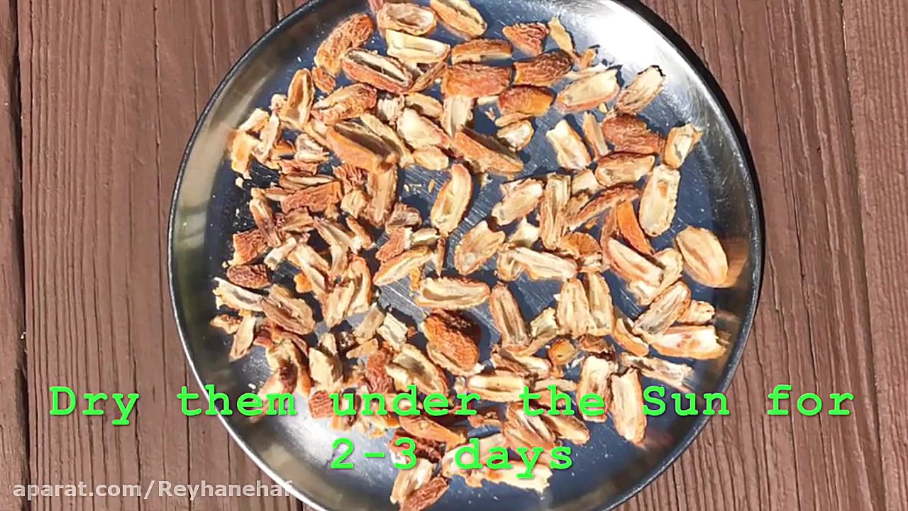 پودر خرما خشک خانگی