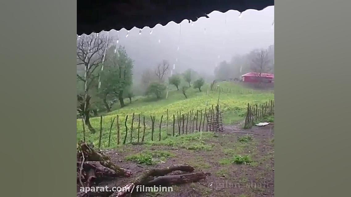 کلیپ طبیعت بارانی کلیپ استوری