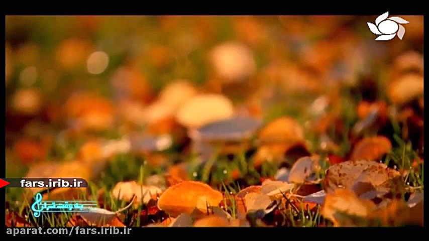 ترانه شاد &quot; خودت خواستی &...