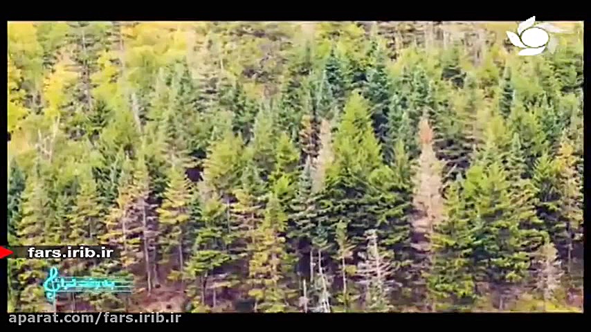 ترانه آرامبخش " غریبانه &...