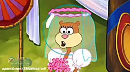 عروسی باب اسفناجی و سندی رسید