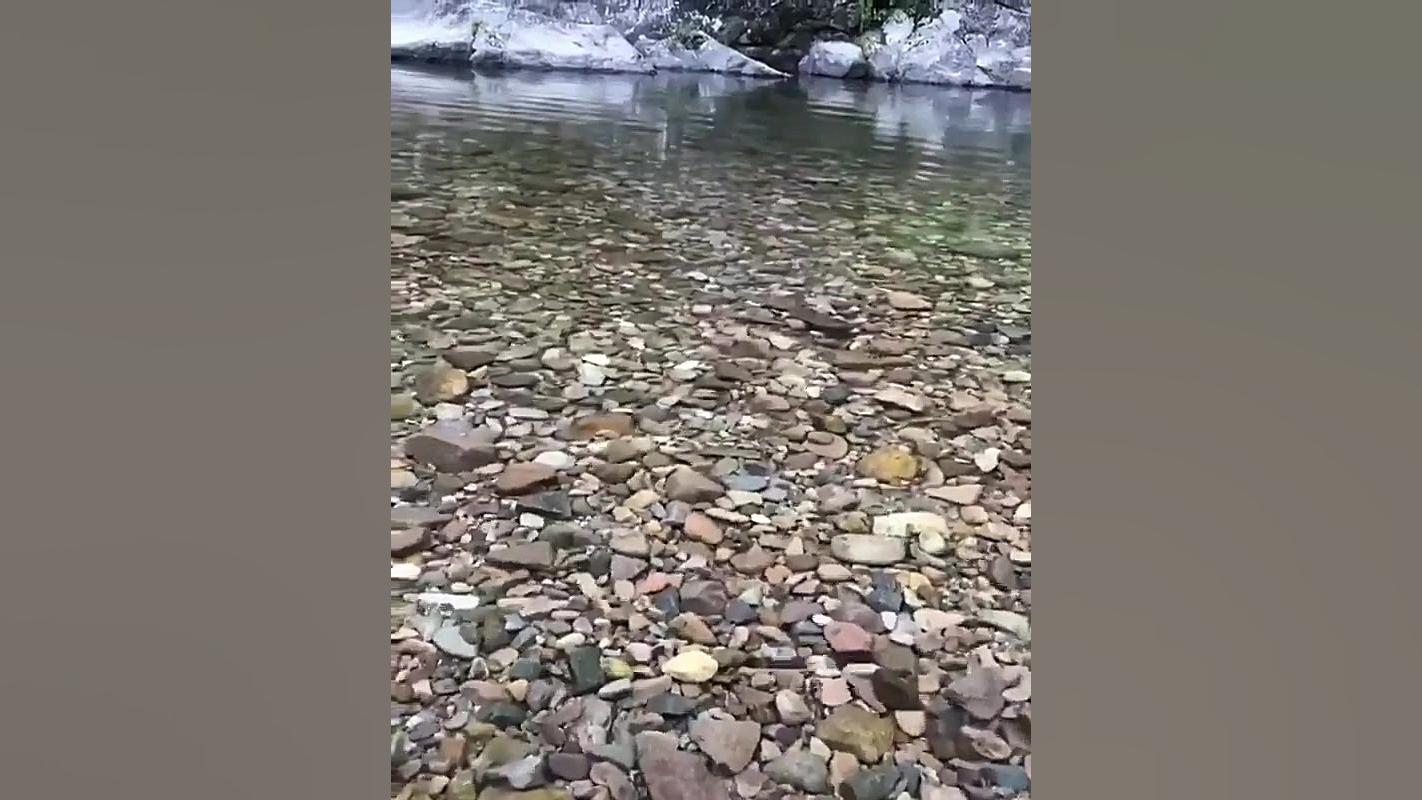 کلیپ موزیکال آواز گنجشک با تم...