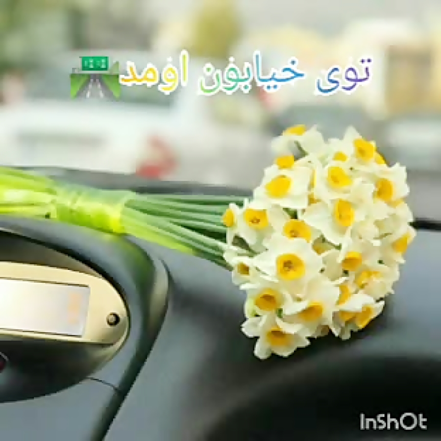 شاخه گل من نیومد