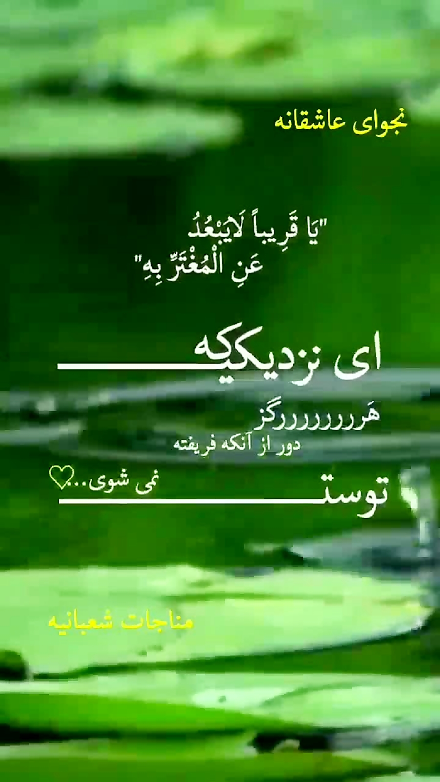 نجوای عاشقانه