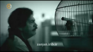 ترانه مثل دلتنگی یک درخت تنها...