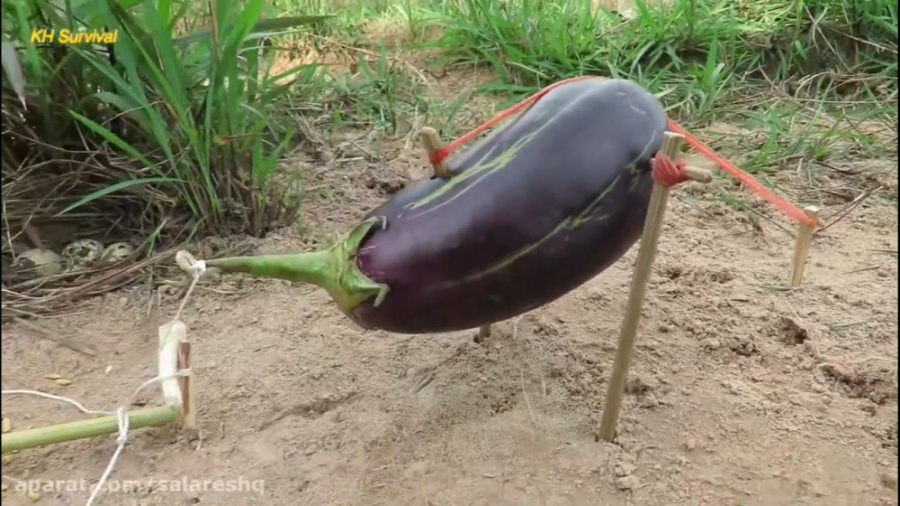 آموزش ساخت تله پرنده | مخصوص ک...