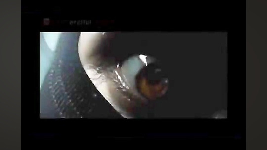 فقط کسانی که نا امید شده اند ....