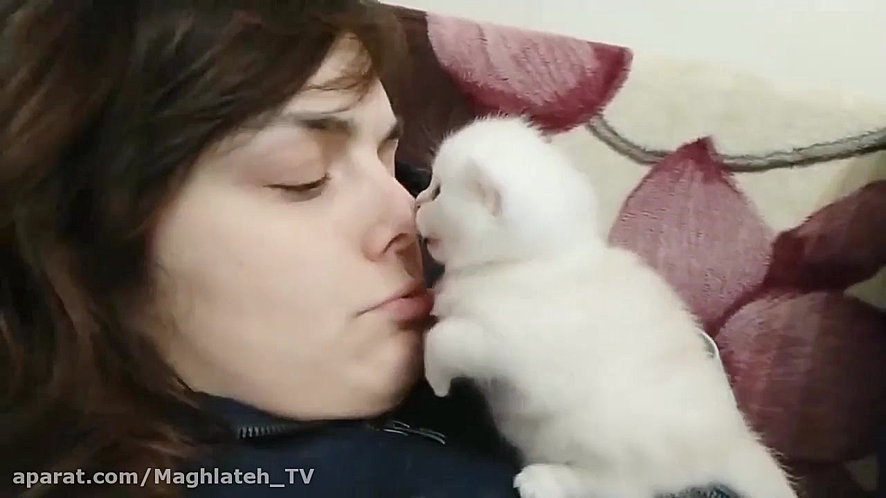 بازی بچه گربه ناز و ملوس با دخ...