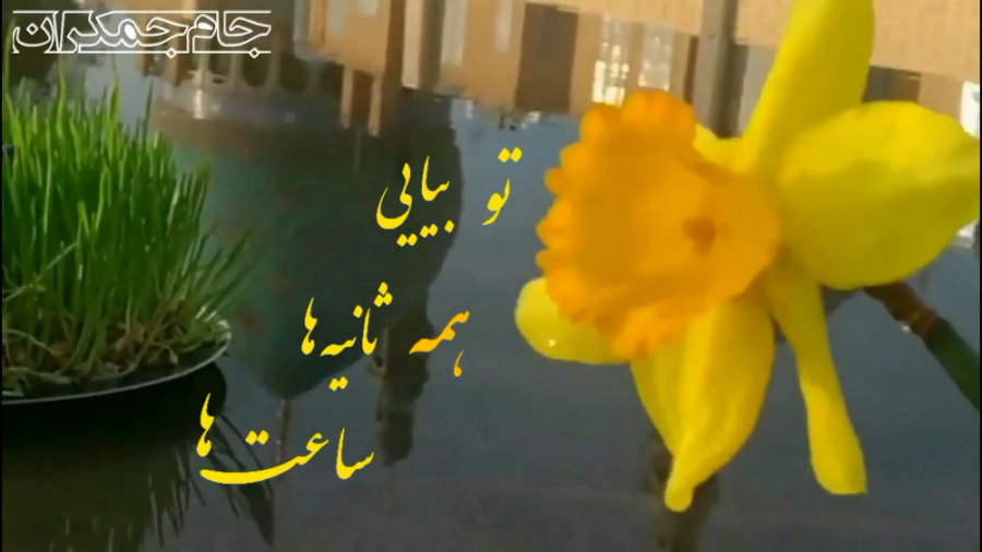 کلیپ عاشقانه امام زمان عج