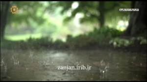 شاخه گل من نیومد | کسری زاهدی