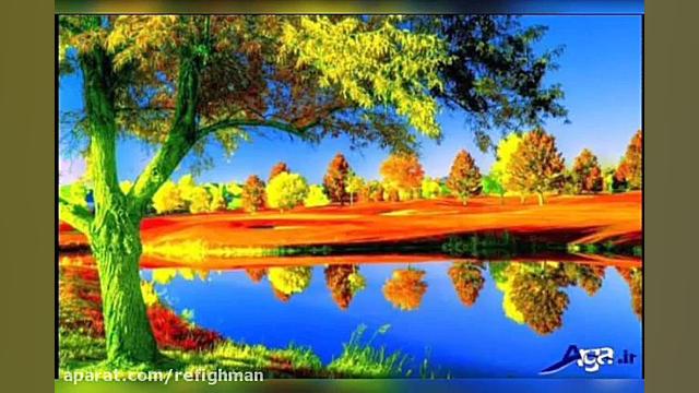 کلیپ شاد و جذاب