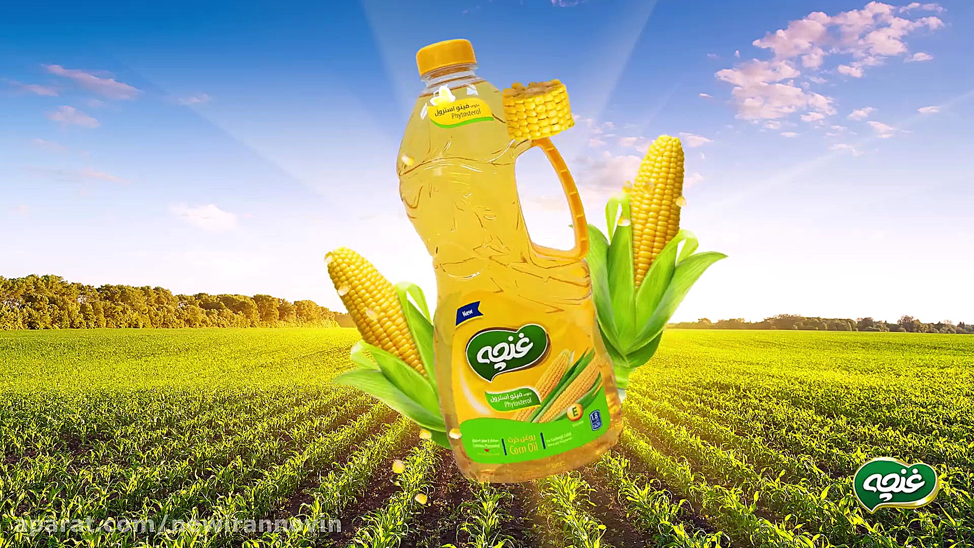 به تازگی جوانه ذرت، به قدمت بر...