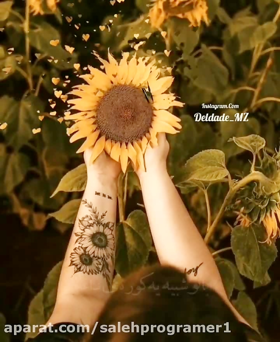 آهنگ عاشقانه واحساسی  من گل آف...