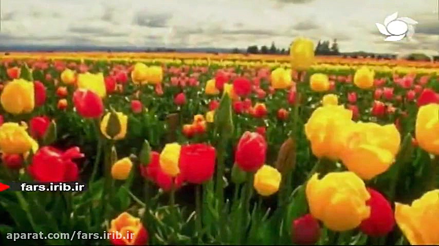 ترانه زیبای " چه بی انداز...