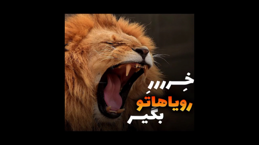 خررر رویاهاتو بگیر!!