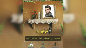 چراغ راه شهید محسن حججی