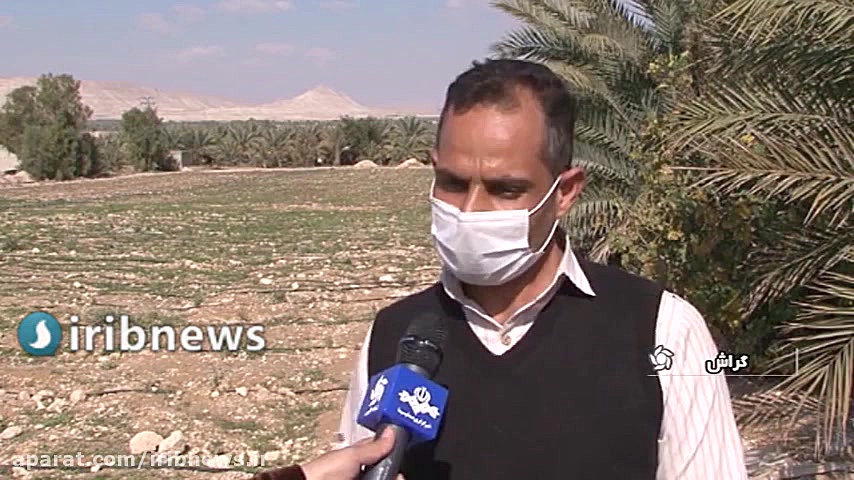 کشت گیاه دارویی آویشن در گراش