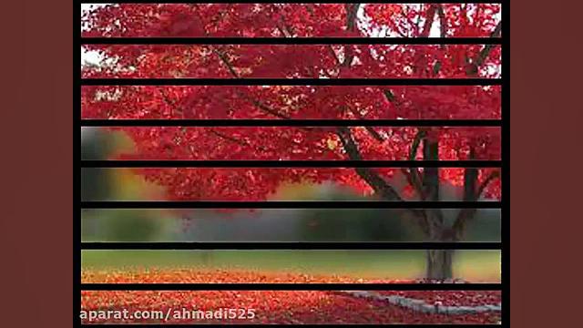موسیقی قدیمی نمیدانم چه در پیم...