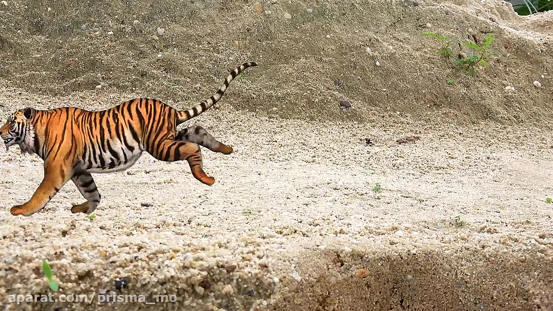 ماشین بازی  اسباب بازی  تمساح...