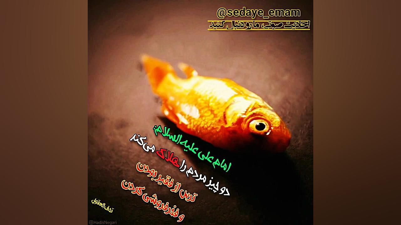 دلیل نابودی از نگاه امیرالمومن...