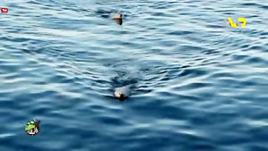 مستند « راز بقا »...