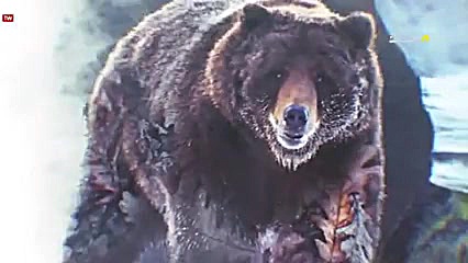 مستند &laquo; راز بقا &raquo;...