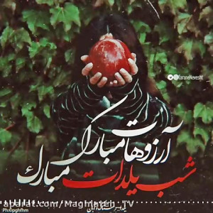 کلیپ شب یلدا برای استوری