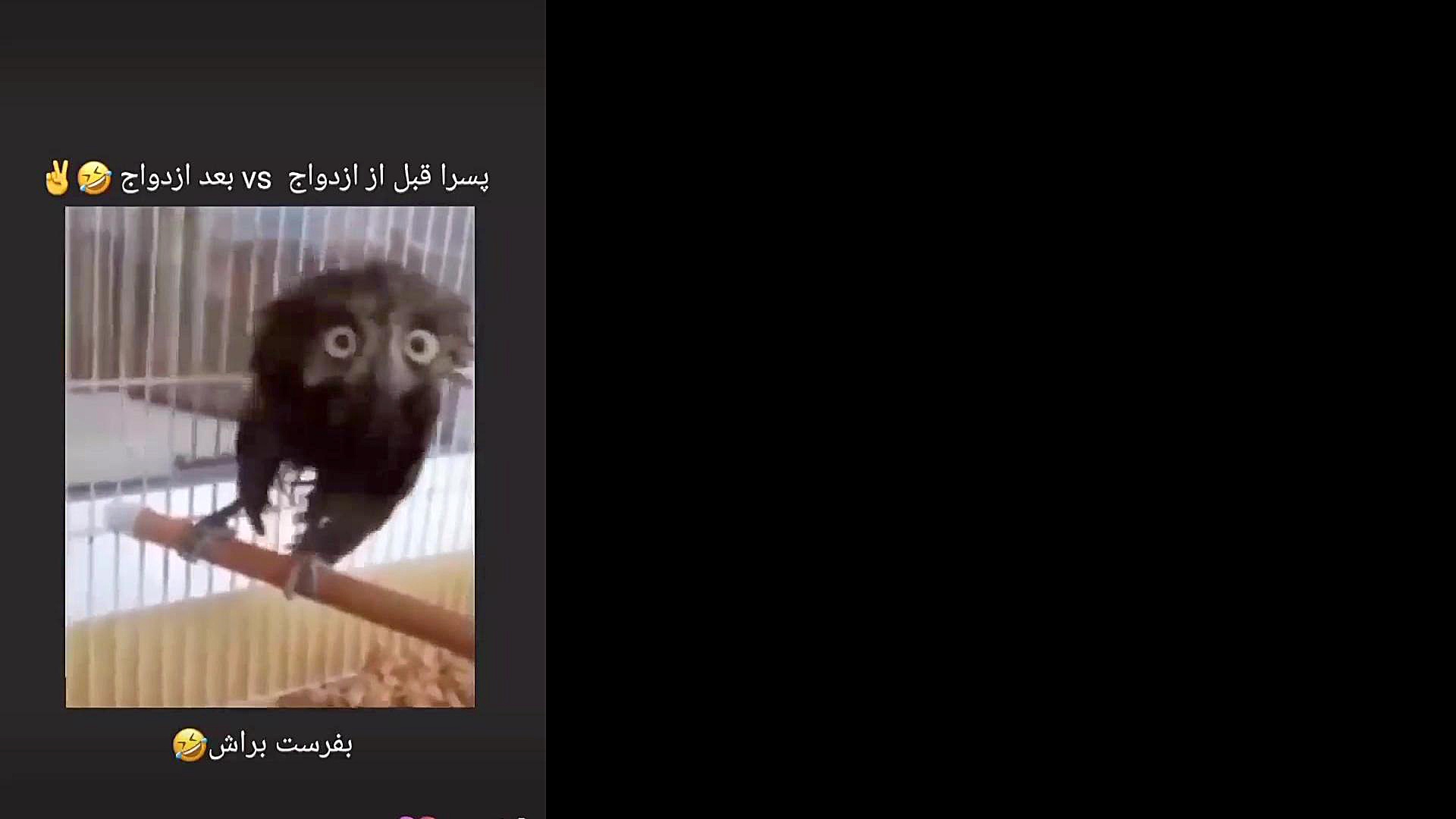 پسرا قبل و بعد ازدواج