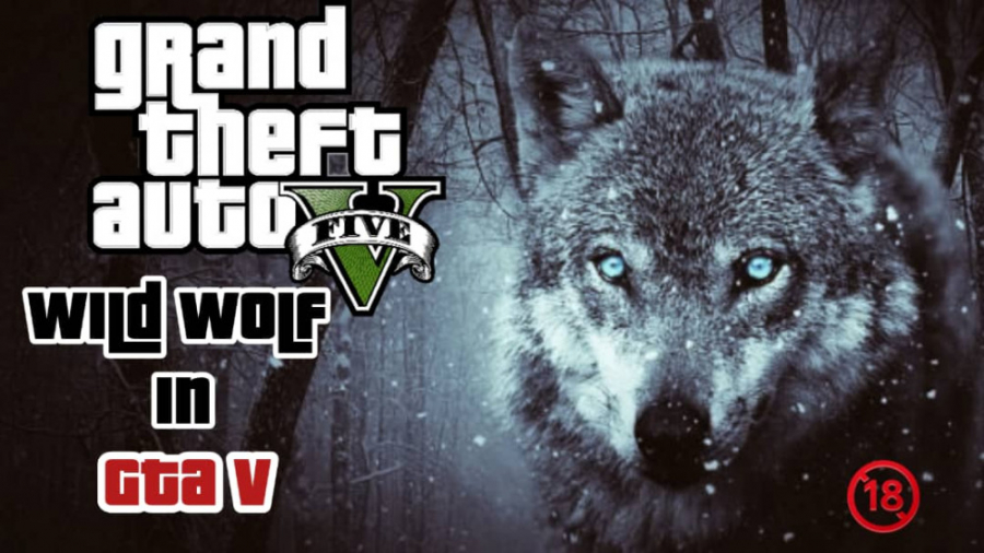 راز عجیب و ترسناک جی تی ای وی....