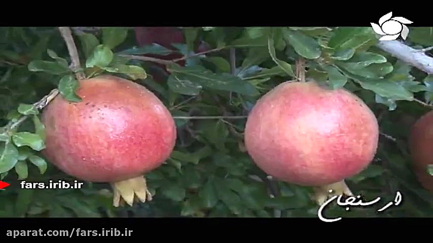 ترانه شاد &quot; ارسنجان &quot...