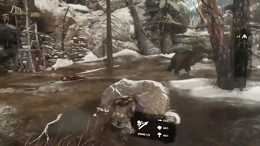 وقتی لارا کرافت با خرس میجنگه...