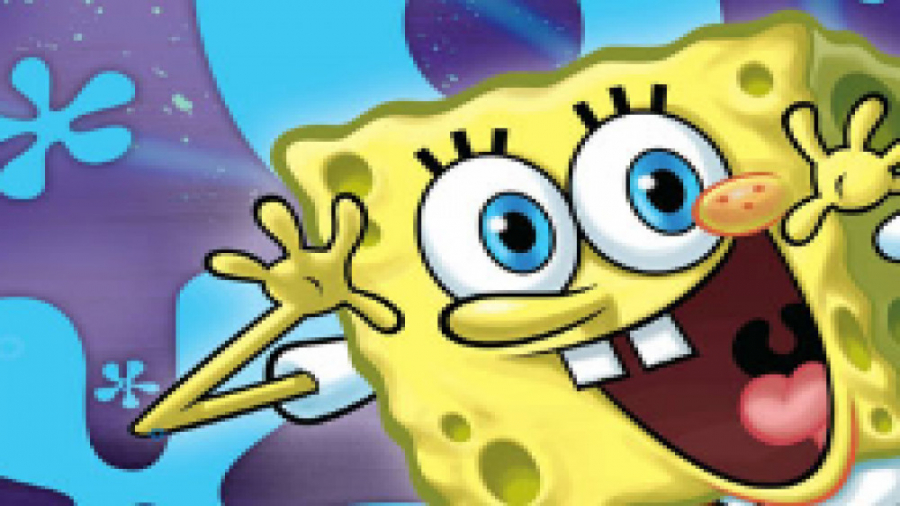 باب اسفنجی (خارپوست)