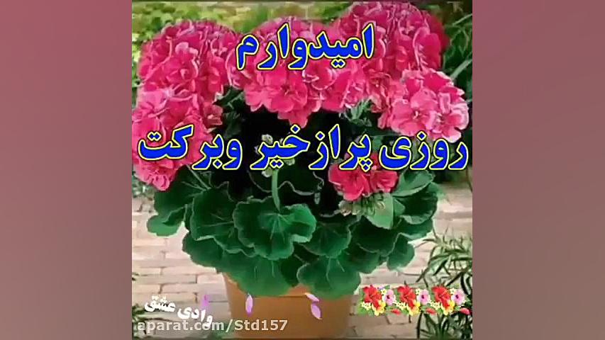 سلام صبح بخیر زیبا