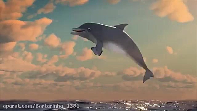 لاروا  انیمیشن لاروا  کارتون ل...