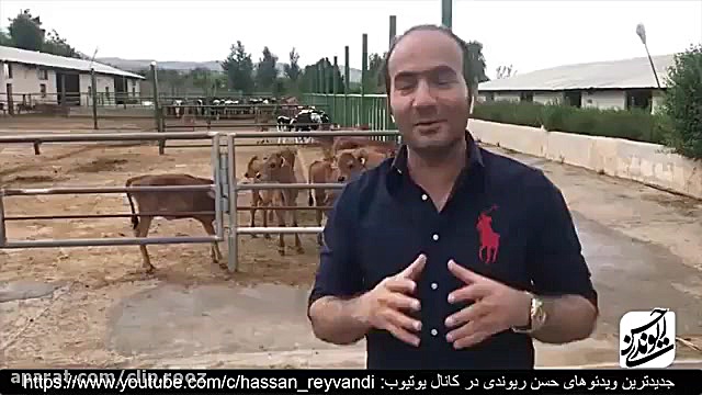 دانلود Hasan Reyvandi | حسن ری...